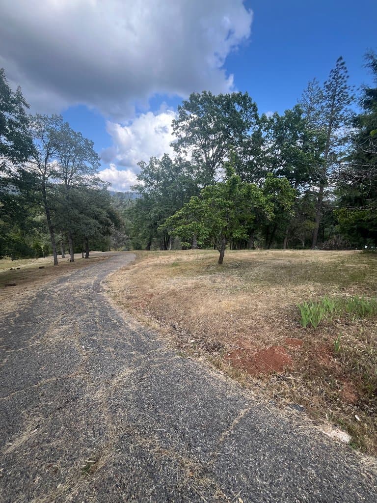 Defensible space service image from FireReduct property clearing work