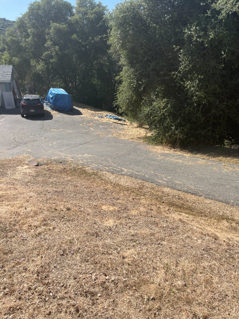 Weed abatement service image from FireReduct property clearing work