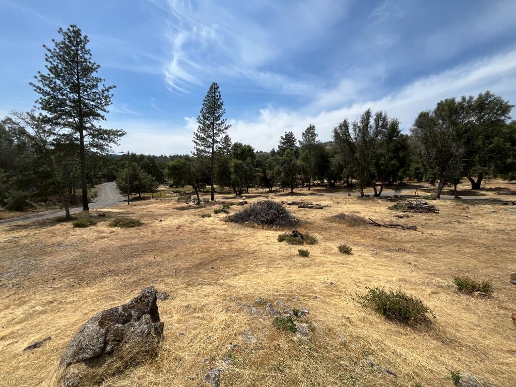 FireReduct defensible space and brush clearing work near rural structures